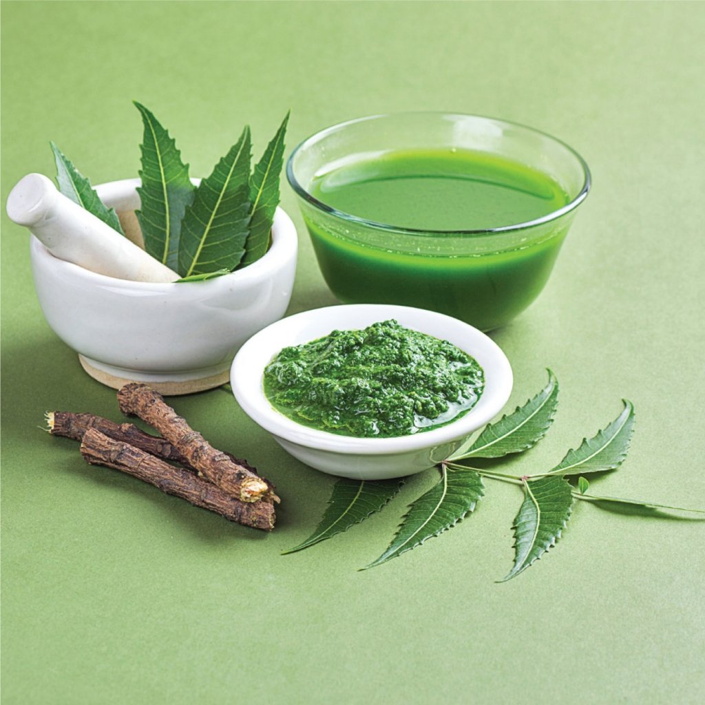Ayurveda Medicine